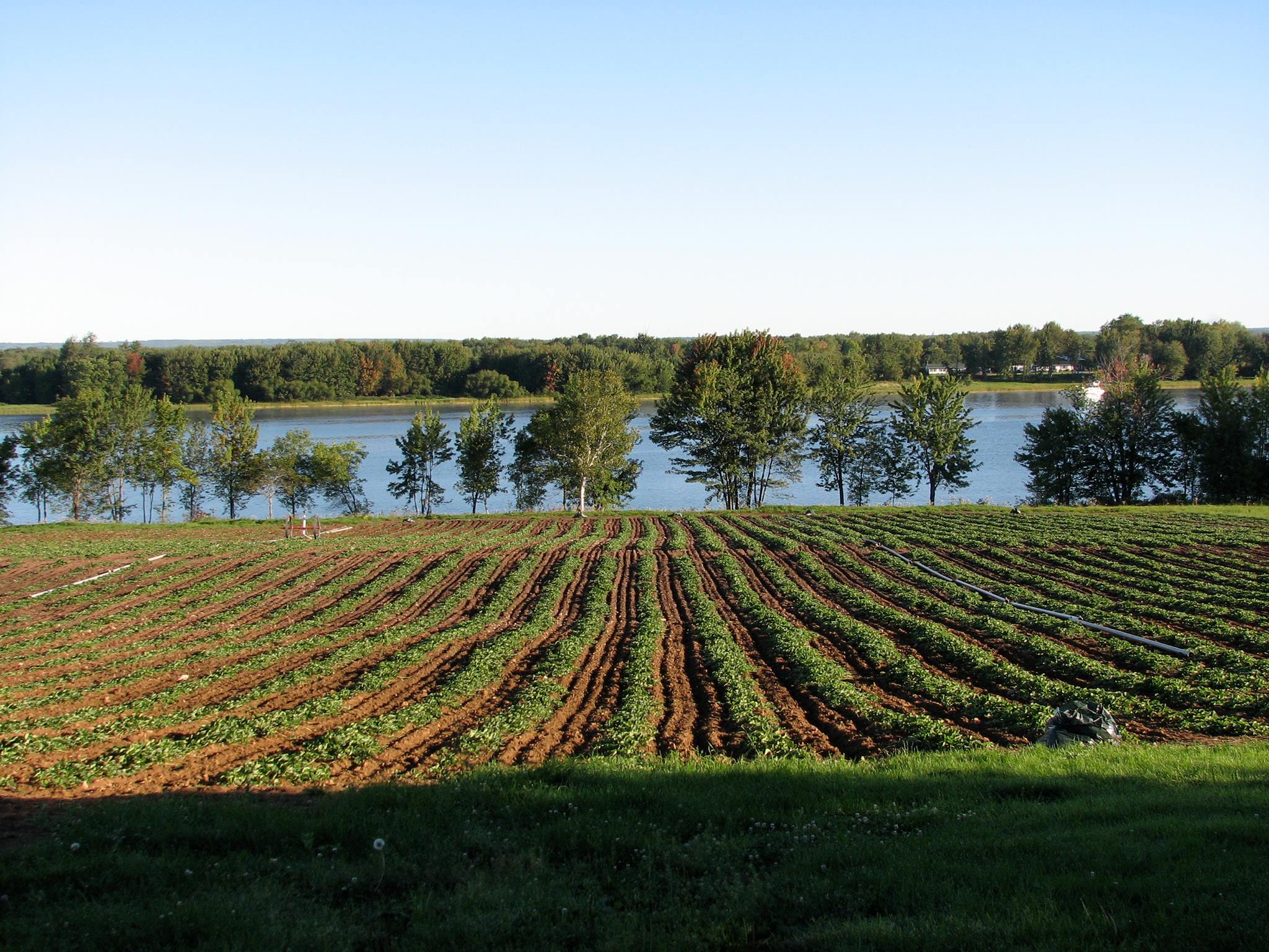 Gilbert s Farm Buy Local NB