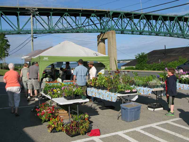 Water Street Farmers' Market / #CanadaDo / Best Things to Do in Miramichi