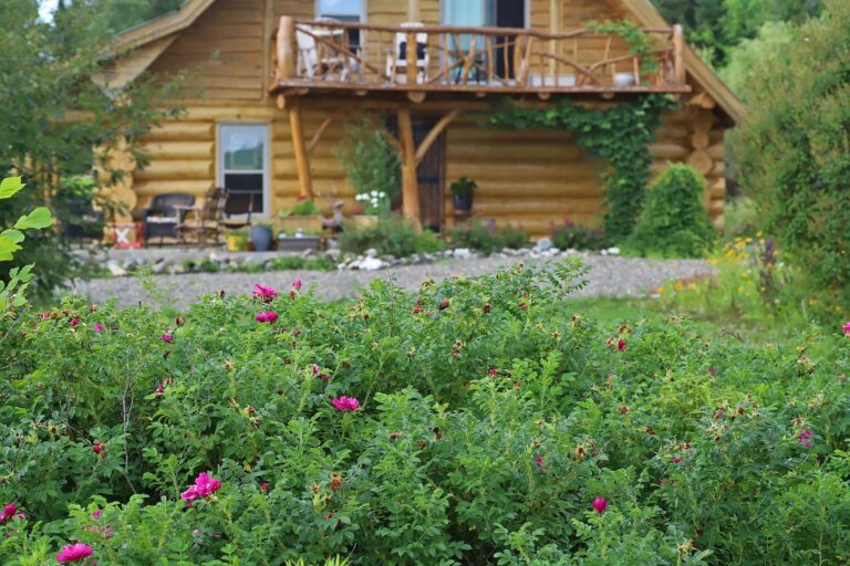 67911691 2351635128433662 5295988082363858944 o 768x512