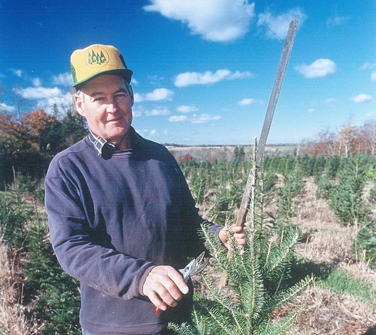 Perry’s Tree Farm Buy Local NB