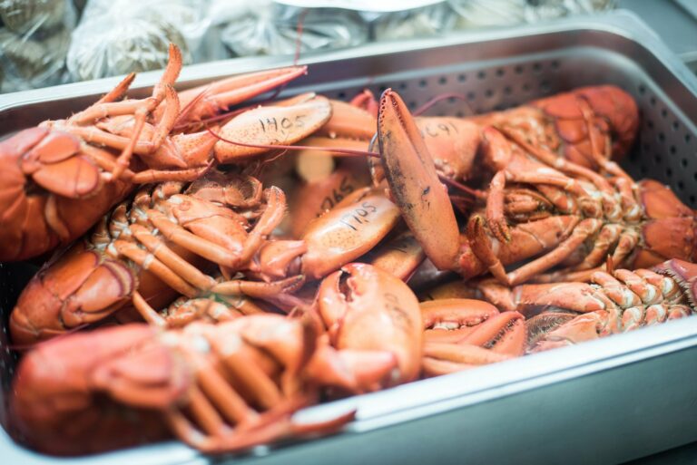 46520446 376281012914624 124127346583142400 n1 768x513