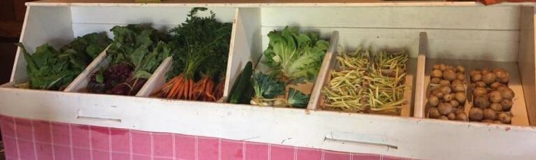 Screenshot 20200225 161057 Facebook 768x229