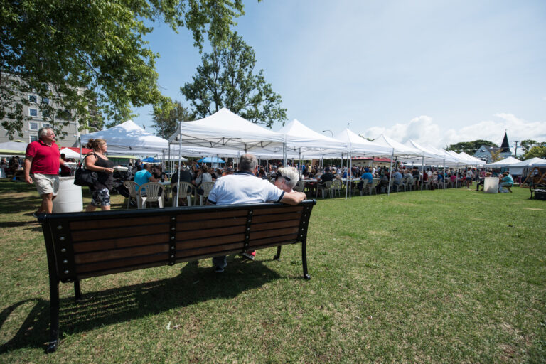 ShediacMarket 24 768x512