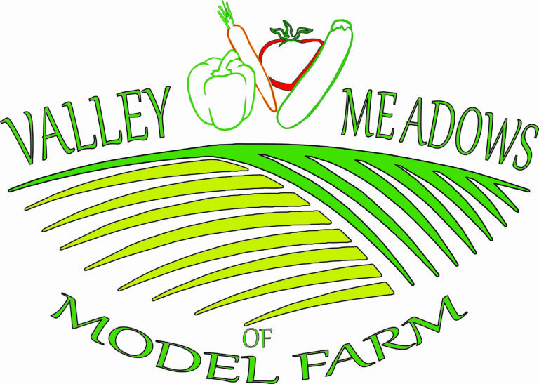 VMMF LOGO 1 768x547