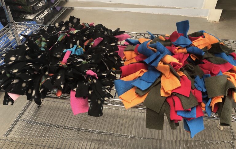 IMG 7625 copy 768x484