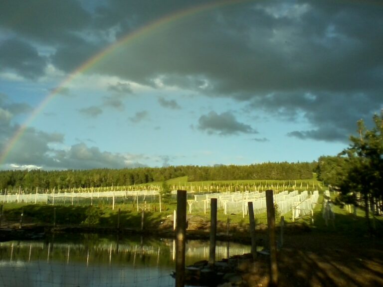 0602172002 00 768x576