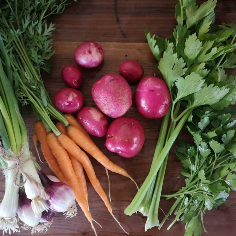 212511335 2627026957442465 2080061658643718433 n 768x768