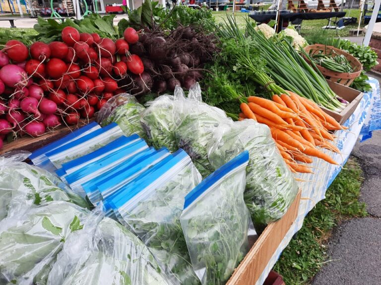 216438778 344557797063310 8208672244967409421 n 768x576