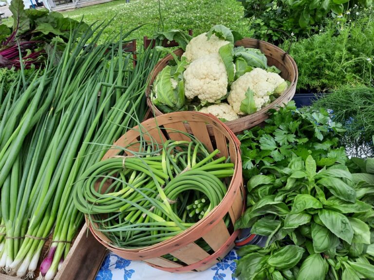 216997420 906970089852973 3871317151332799445 n 768x576