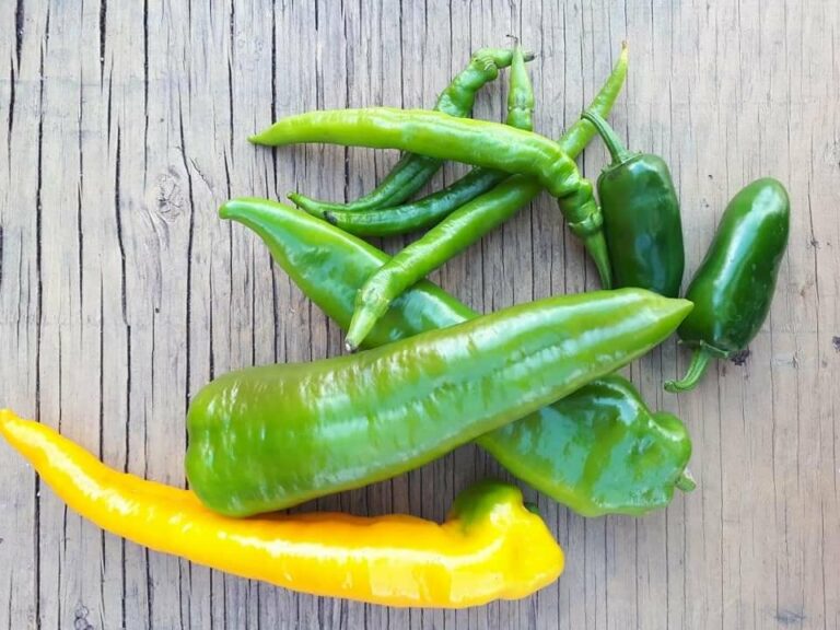 217024565 1232270290538999 5410978476868376934 n 768x576