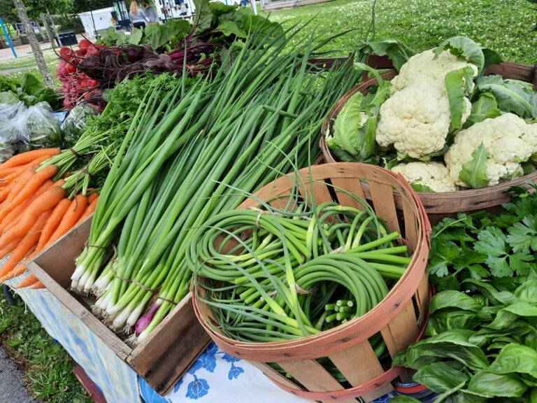 217166145 331647655244564 2979726279489789597 n 768x576