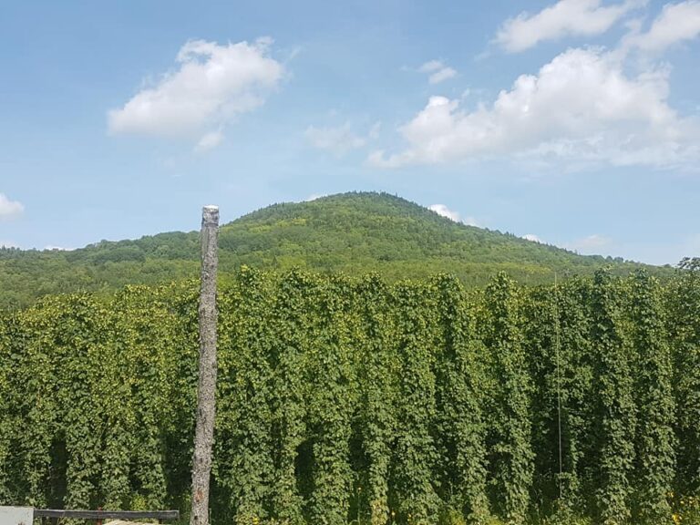 mountain 768x576
