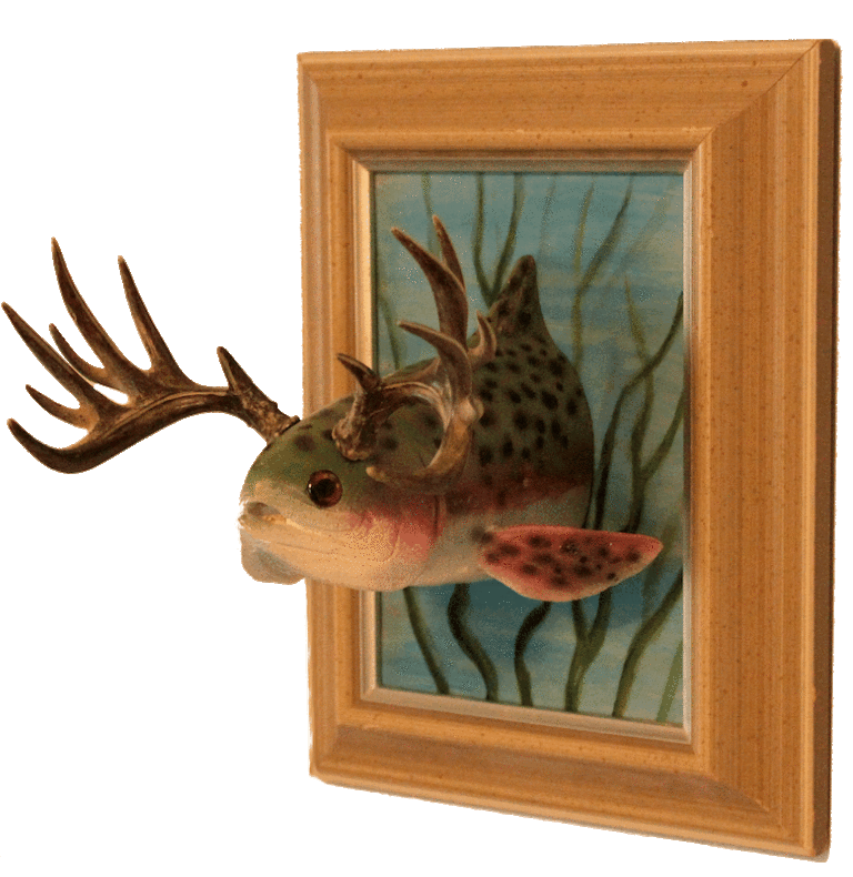 Rainbow Buck Trout 02 768x790